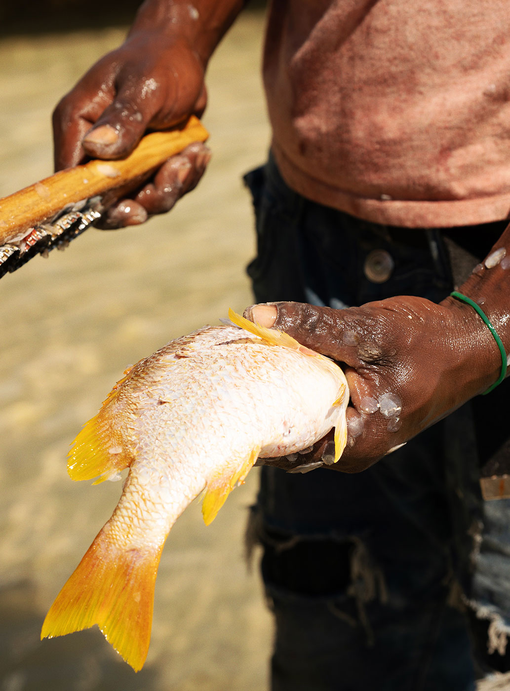 93% de pescado y marisco de origen responsable en nuestros hoteles (2025)