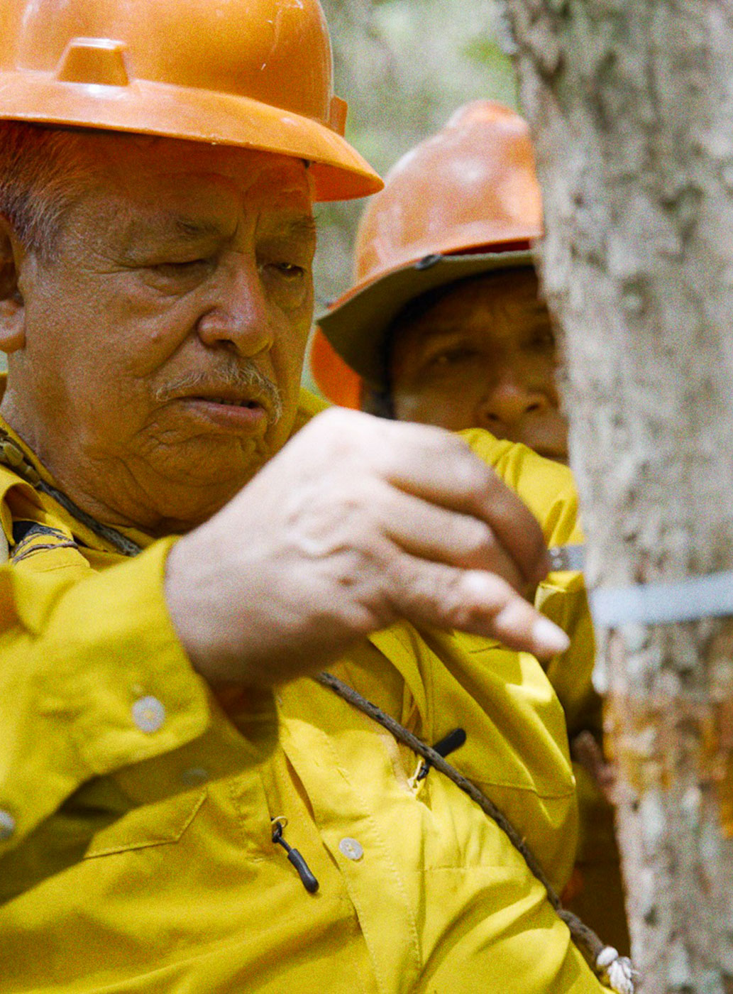 Proyectos de carbono con comunidades